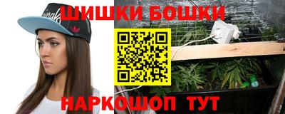 спайс Аргун