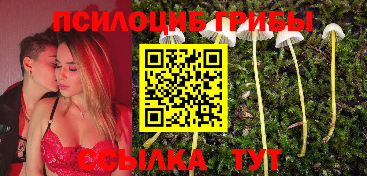 Волжский  Псилоцибиновые грибы Psilocybine cubensis  Вход с VPN 